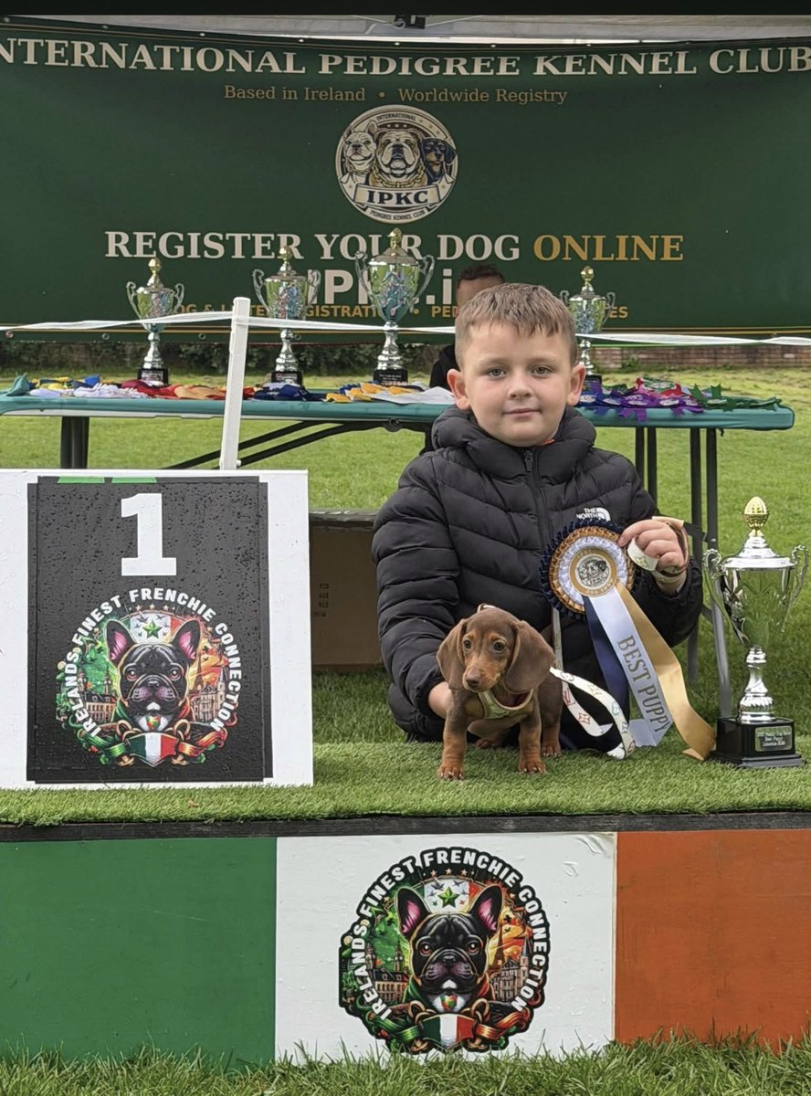 limerickpost's tweet photo. LIMERICK IN PHOTOS: A dog’s life

THE International Pedigree Kennel Club held its first dog show at O’Brien’s Park in Limerick last Sunday (August 30). 

📷 Keneth Woodland
#Limerick #LimerickInPhotos https://t.co/vUtPKKFMpW