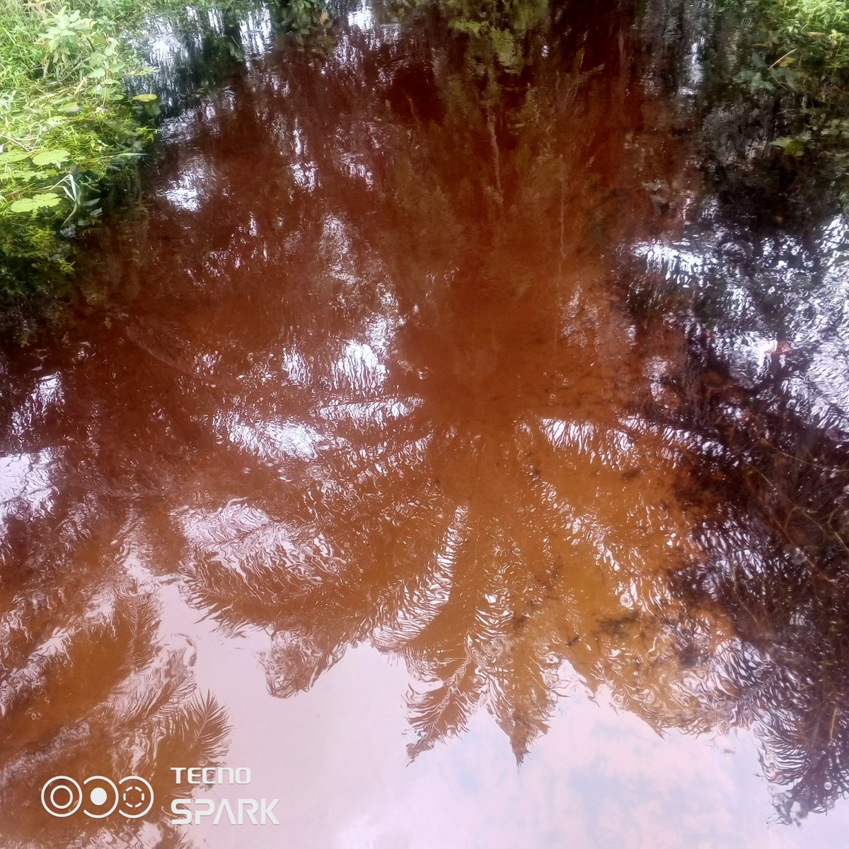 BenjaminAdeni5's tweet photo. "And he showed me a river of the water of life, as clear as crystal, flowing from the throne of God and of the Lamb,"
-Rev 22:1 https://t.co/xHkFMuj1vW