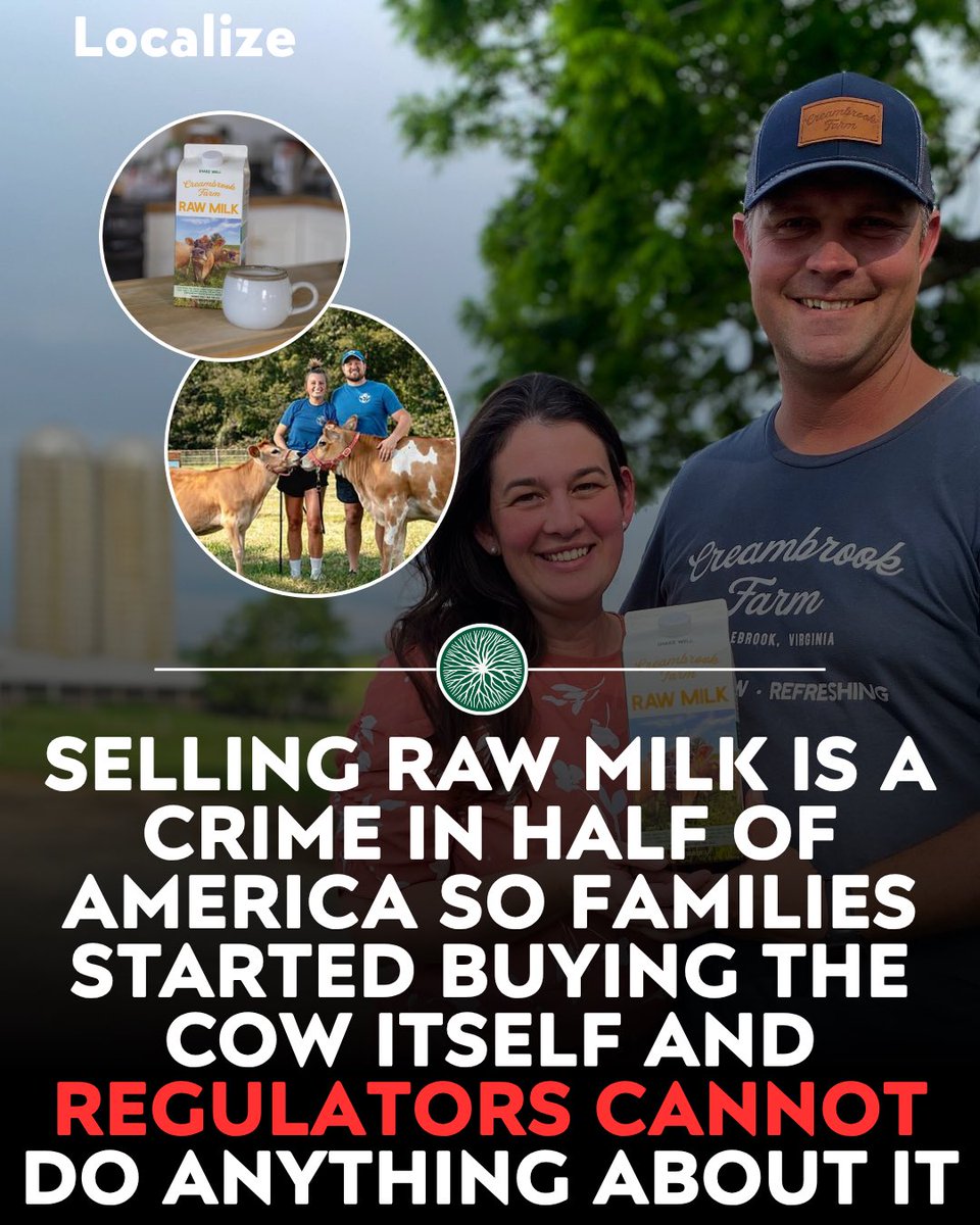 Localizefoodapp's tweet photo. Selling raw milk is a crime in half of America so families started buying the cow itself and there is nothing regulators can do about it

A herdshare makes you a part owner of the animal and no law stops an owner from drinking milk from their own cow.

The farmer boards the cow and milks her and hands each shareholder their portion every week.

Herdshare agreements now operate in dozens of states where a farmer could never legally sell the same milk over a counter.

Find raw dairy near you on Localize