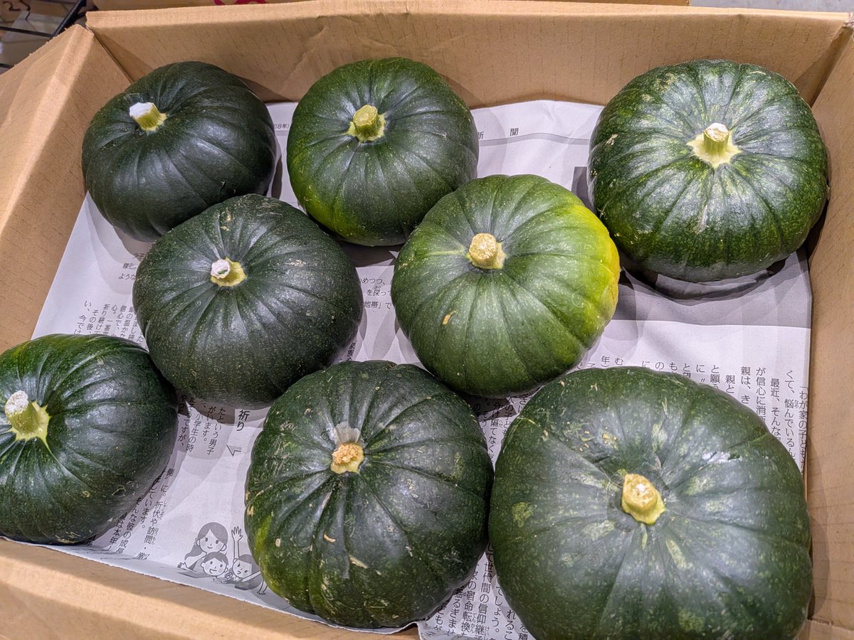 gisyun's tweet photo. 今朝の豊洲市場・政義青果、京都より京の風鈴かぼちゃが入荷しました♫　皮まで食べられる生食用の新京野菜です😉 #政義青果 #豊洲市場 #京の風鈴かぼちゃ #新京野菜 https://t.co/9fxaYYsFda