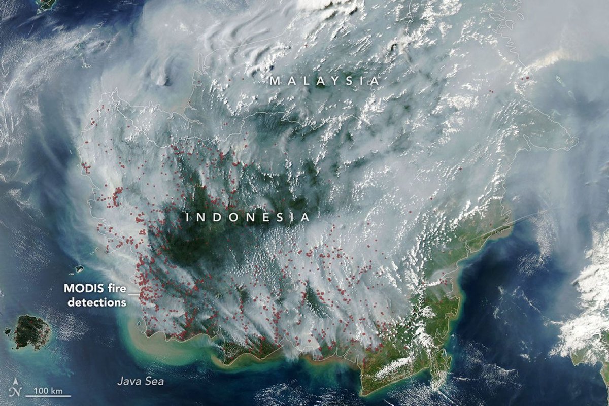 NASAEarth's tweet photo. Fires are smoldering in Indonesia, which is in a severe and widespread drought. Some of these are tropical peatland fires, which burn slowly, release higher amounts of air pollution, and are notoriously difficult to extinguish. https://t.co/gulsKrmSMR