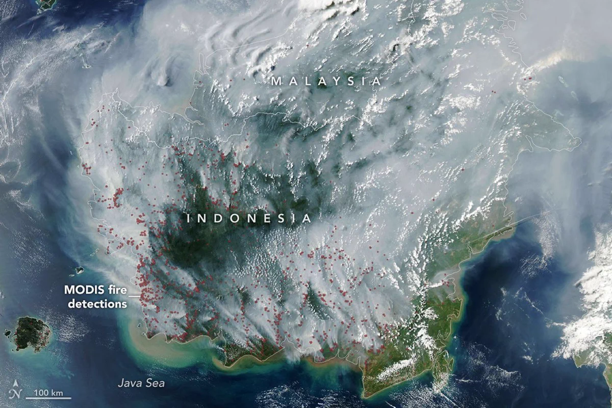 NASA satellite image of fire smoke covering much of Indonesia and Malaysia on September 1, 2026. The plumes are gray, with only some areas of green and brown land visible through the smoke. Red dots have been added to show where the MODIS instrument detected fires. The dots are primarily on the western and southern parts of Indonesia and often cluster together. Credit: NASA 