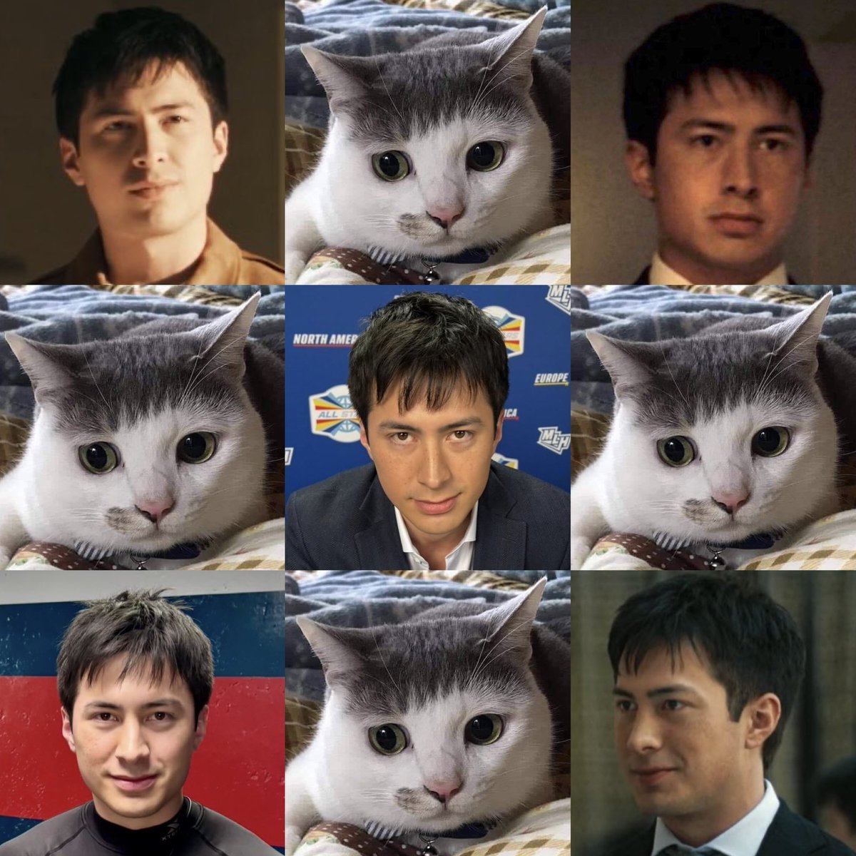 shaneologist's tweet photo. meow https://t.co/cC6kM2GNFP