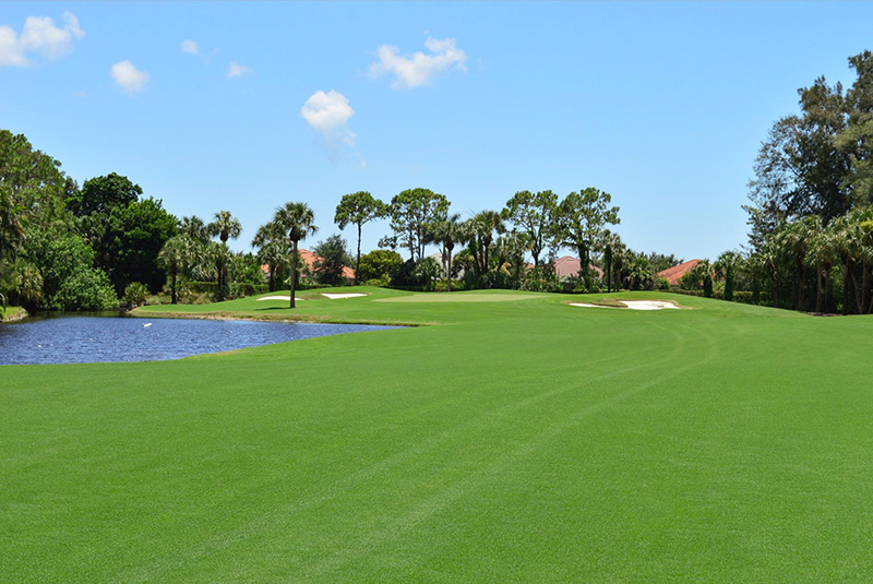 GCM_Magazine's tweet photo. For golf course superintendents, performance is measured by more than appearance. See how Bimini bermudagrass stands up to superintendents' exacting standards. https://t.co/kpsQsUV0sI #sponsored https://t.co/RRFO6gyy6w