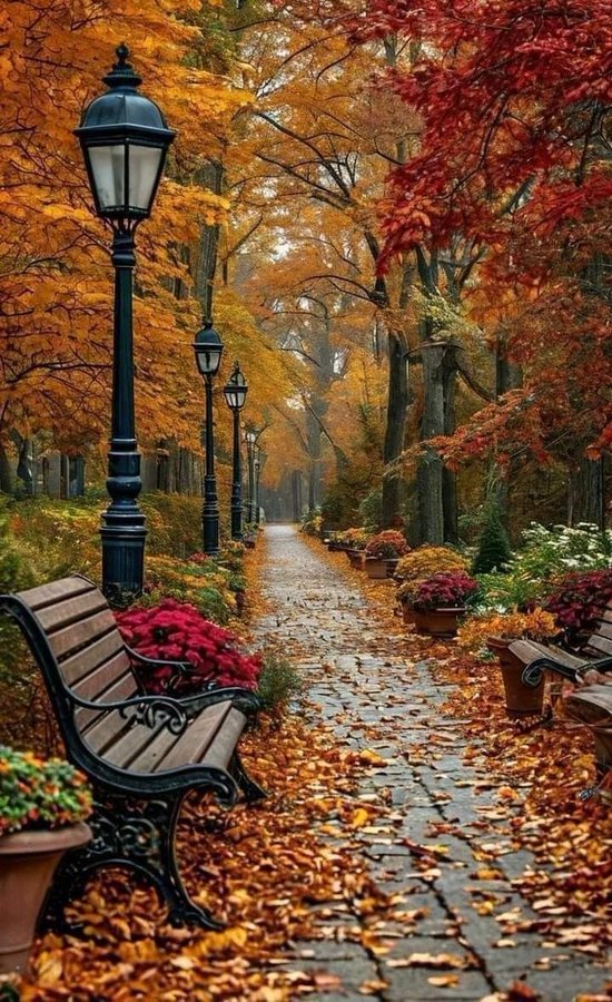 Sophia56891's tweet photo. 🌹🕊️
@Sophia56891 
@MrMrnagah 
@EllisonTeri 
@lewhiteva 
@LouzivalS 
@Bortebey 
@araf1299 
@x4Eileen 
@PskDilek 
@wdunlap 
@D3G39 
@1Tmgus 
@rorossaa11 
@FuriasRuler 
@MarcelaErcia 
@KBATNA2014 
@AytekinGv5xz 
@kirolossamih1 
@nanahendrix66 
@anderson_l76219 
@CrystalSin22064 https://t.co/edr5XPQivU