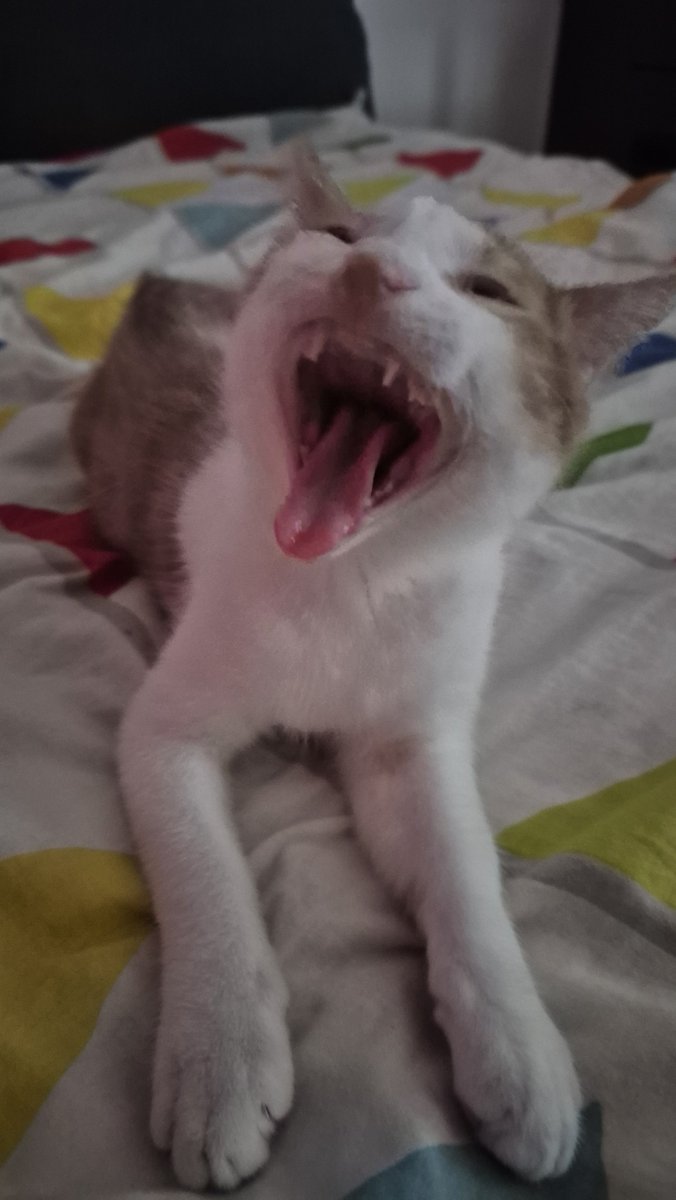 ghuzts's tweet photo. Monster. Little sick individual, yawning. Sick in the head. https://t.co/TnaVySL0Iy