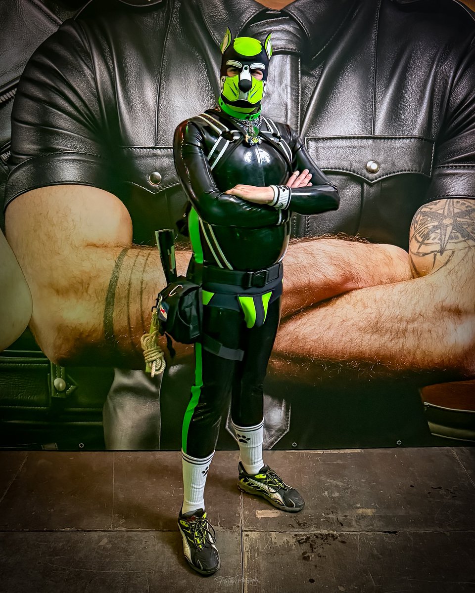 FH_4697's tweet photo. Rubber pup mode: ON. 🐾🖤
Schwarz, glänzend, eng — und definitiv nicht ganz unschuldig. 😏
Ein bisschen Pup, ein bisschen Trouble.
Rubber quietscht.
Paws get restless.
And somehow behaving was never really part of the plan. 🐶💚
Vielleicht ein Good Boy.
Shiny pup. Dirty mind. 🖤 https://t.co/wSsgfW0A5F