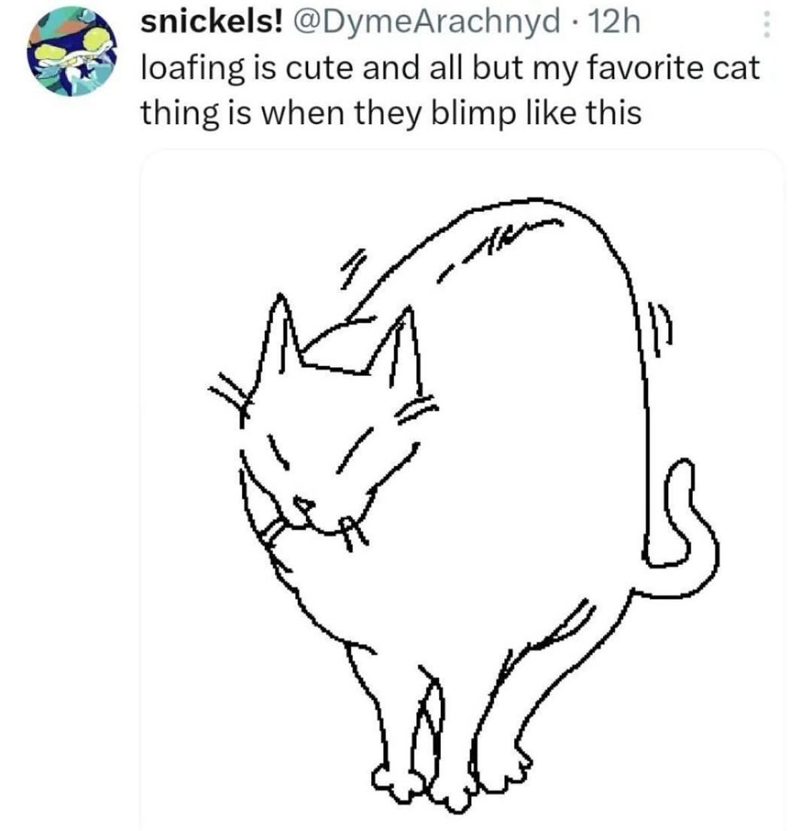 PunchingCat's tweet photo. https://t.co/qcvLsEK10Q