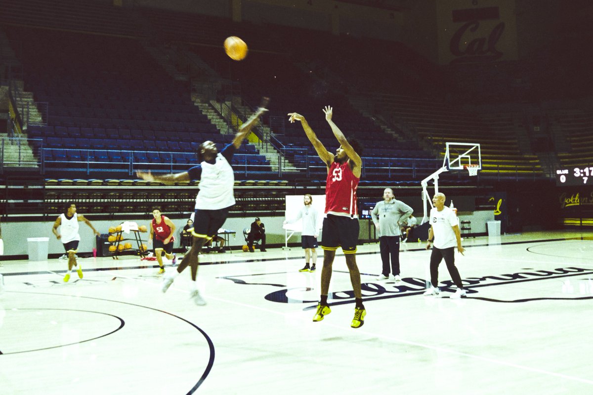 CalMBBall's tweet photo. August on film 🎞️ 

#GoBears | #ThroughAndThrough https://t.co/SyUyJVnuoX