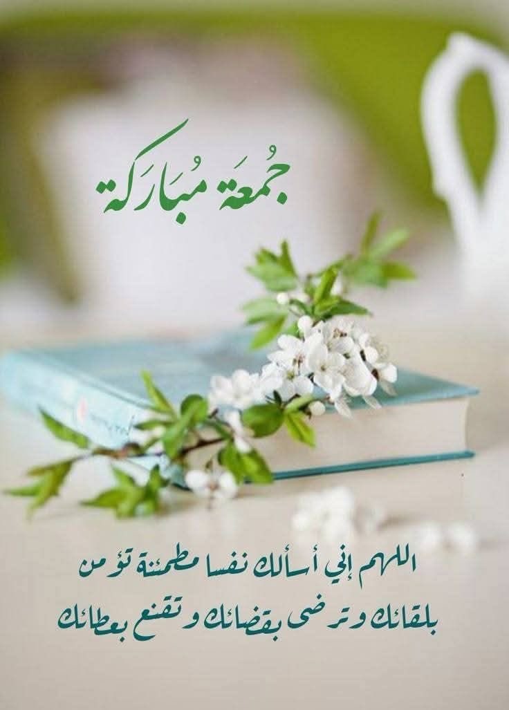 bint_alaez's tweet photo. جمعة مباركة عليكم وعلى أحبتكم، تقبل الله دعاءكم وكتب لكم الخير حيث كان. 🤍🦋

#صباح_الخيـر 
#يوم_الجمعة 
#جمعة_مباركة https://t.co/1VAEG42wvE