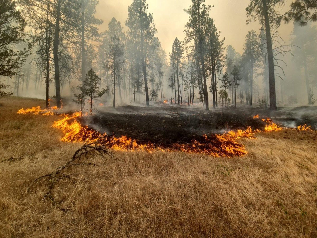 KVALnews's tweet photo. As of Aug. 20, 2026, an estimated 2.5 million acres had burned statewide across 1,581 fires. Gross large-fire costs totaled about $236.2 million.

Read More: https://t.co/OqbnRyrUpX

#LiveonKVAL #OregonNews #Wildfires https://t.co/gQeliFMby4