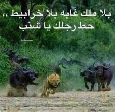 niiarll's tweet photo. خبيلان https://t.co/DiedJrKTMU