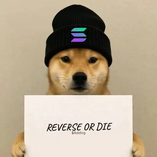 TGIFonSOL's tweet photo. my  $Ass just hit 2M and we with this super lore stuck under 50K? https://t.co/O1kC2Oegsn