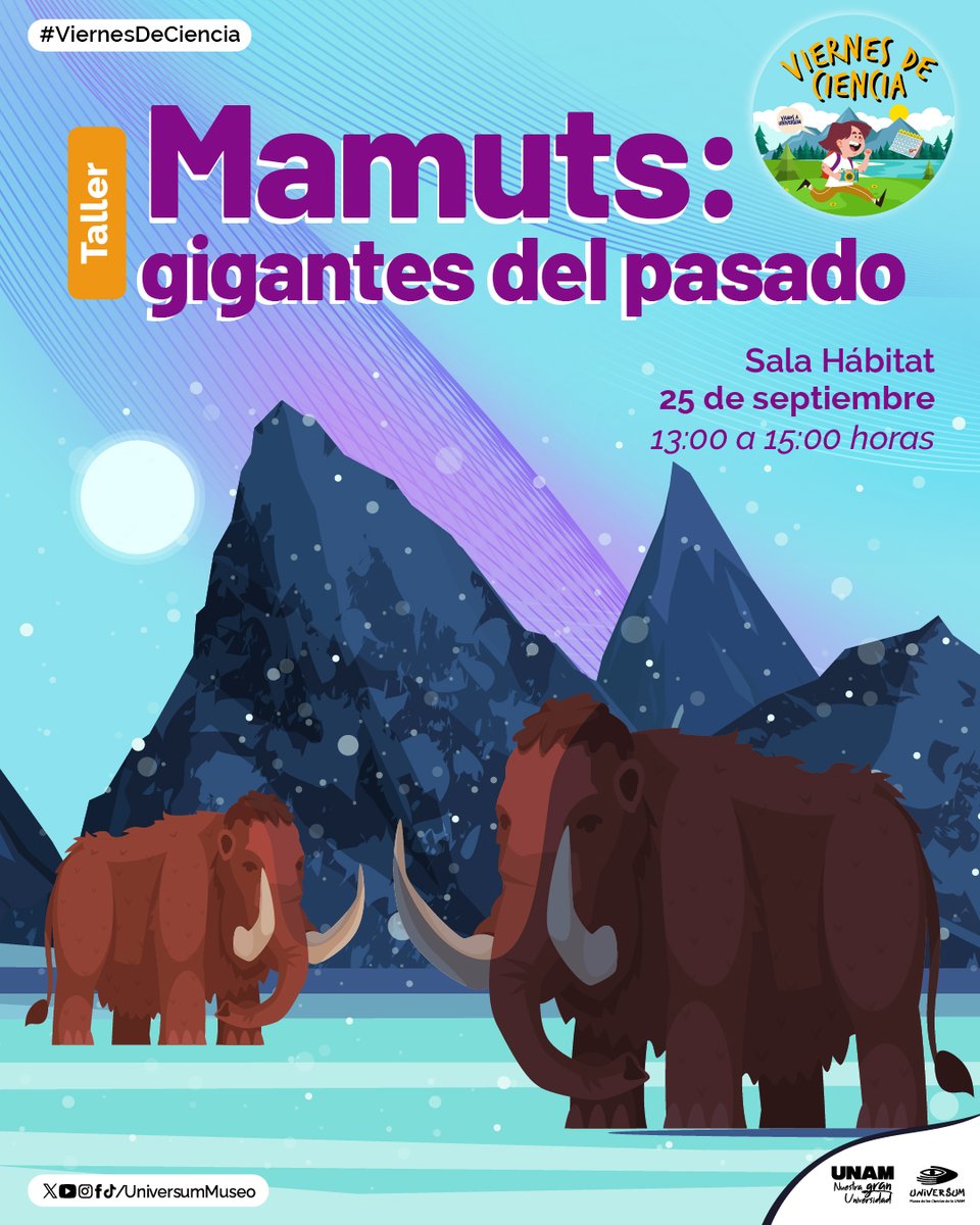 UniversumMuseo's tweet photo. Conoce algunas zonas donde se han encontrado restos fósiles de mamuts 🦴 y descubre la importancia que tenían y las causas de su extinción. 🌎🦣
¡Ven, descubre y diviértete! 👇

https://t.co/qI5PrXvDSx #ViernesDeCiencia https://t.co/8lH2HMDzu0