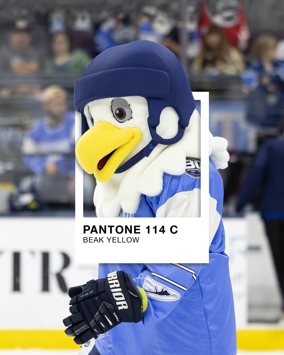 PcolaIceFlyers's tweet photo. Painting the picture that hockey season is almost here 🖼️

#FlyAsOne https://t.co/xwXtQ47p9e