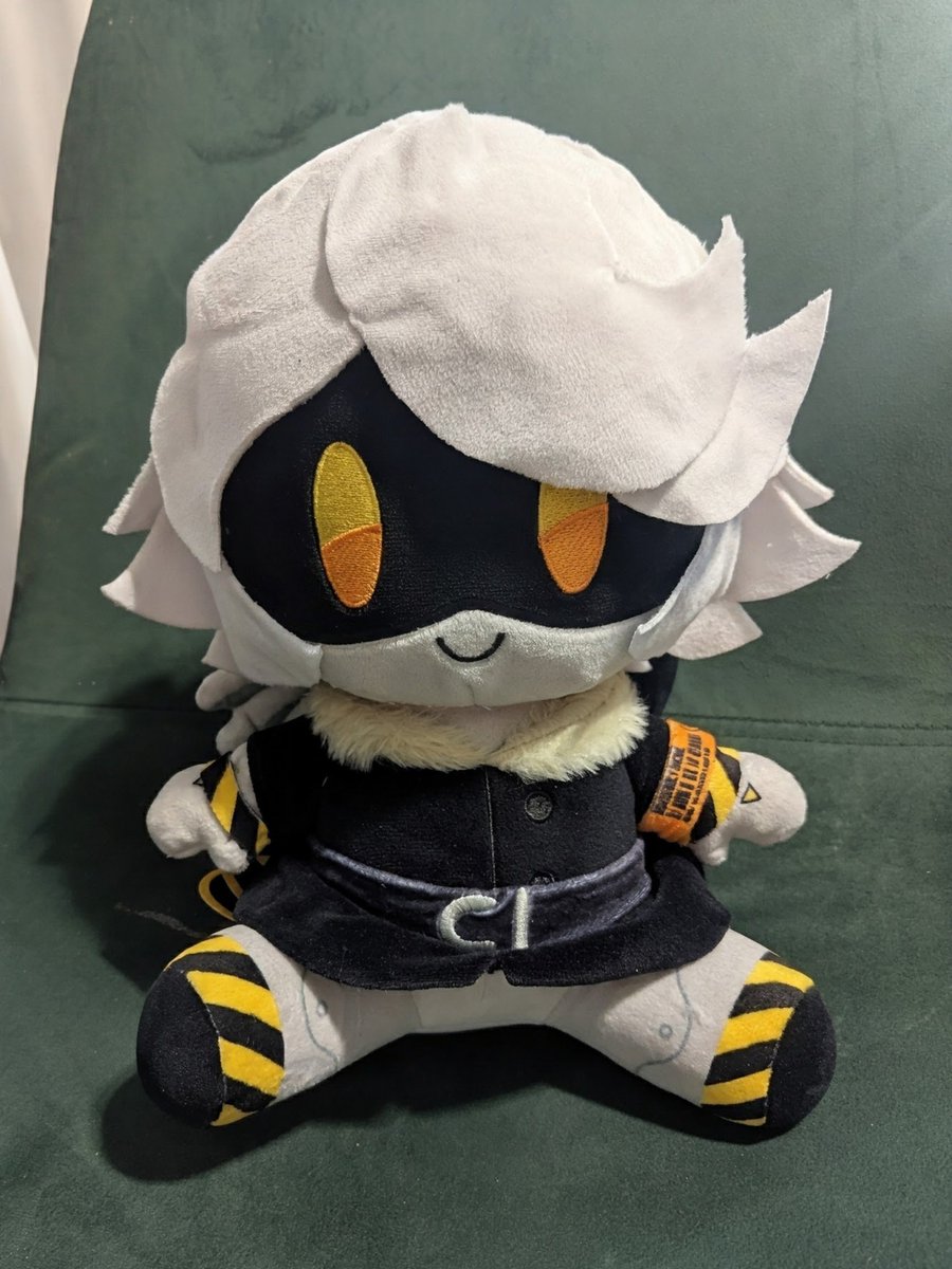 frantabul0sa's tweet photo. I modded my N plush to make his bangs more show accurate~ UwU https://t.co/yEO2J5TfEo