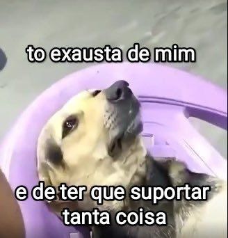 meus_bilhetes tweet picture