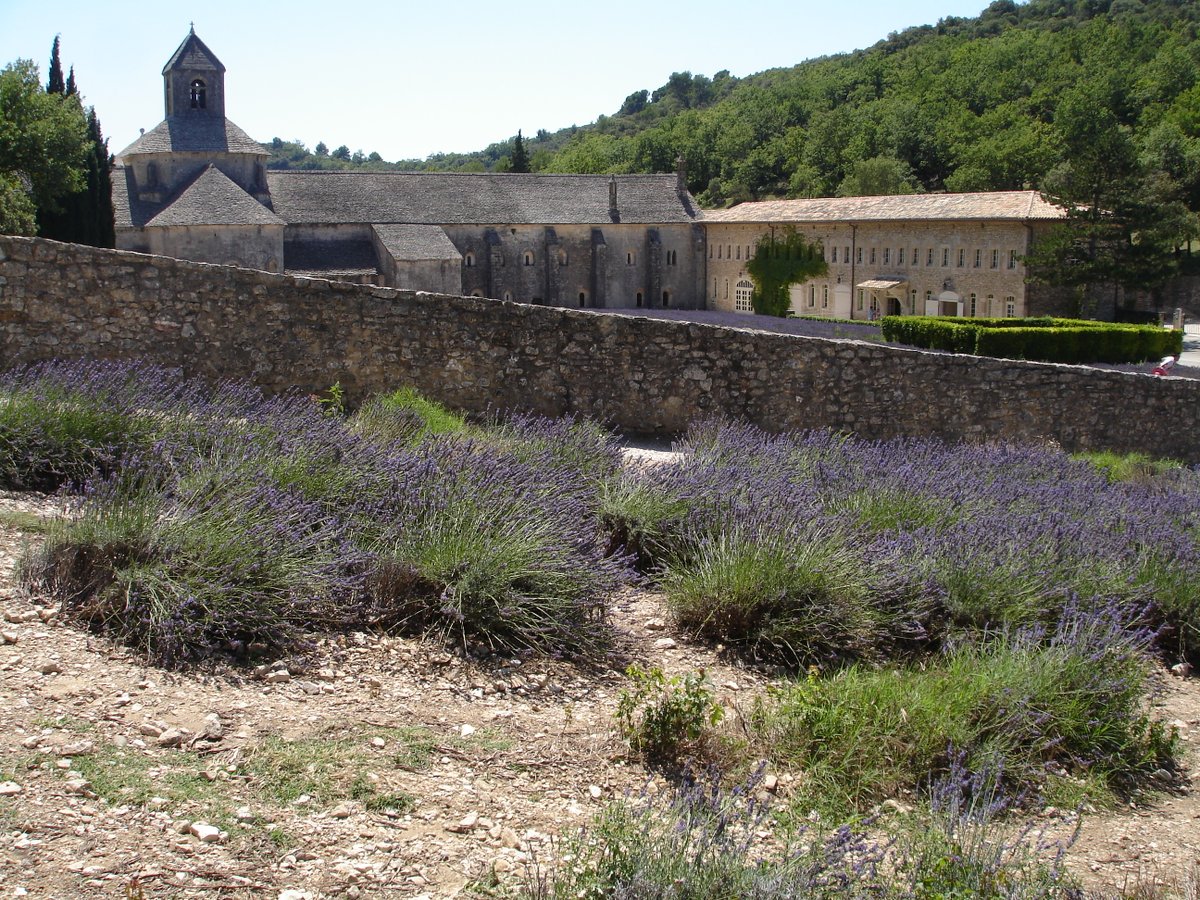 templegraal's tweet photo. Dans "Une commanderie Templière à Gréoux-les-Bains" (1981), Bernard Falque de Bezaure, reprenant les travaux de l’abbé Corriol, affirme que l’Arche d’Alliance ramenée de Jérusalem en 1128 fut déposée à l’abbaye de Sénanque à la demande des Bienheureux Bernard et Malachie. https://t.co/8ZC0WCH7Yk