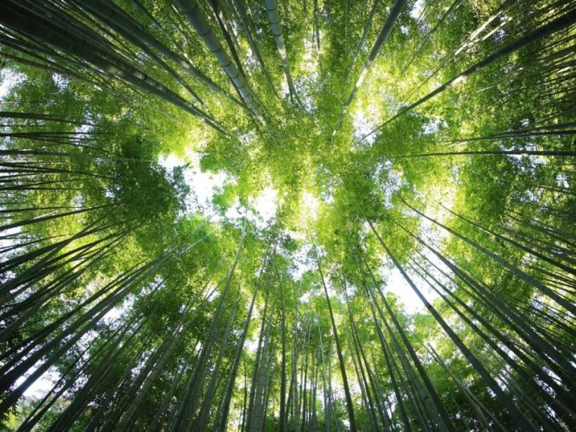 ExpertFile's tweet photo. ExpertSpotlight: Vanderbilt Index Finds Sustainability Remains a Mainstream Consumer Priority

Give this a read and connect with the #experts from @VanderbiltU today to learn more.

https://t.co/e2T1Xl2gfP https://t.co/jfGiMH2XbT