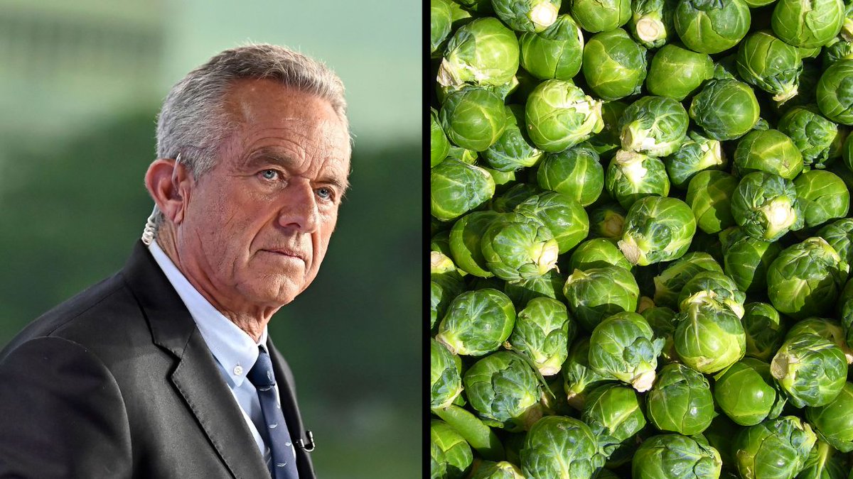 GOP__Ls's tweet photo. 🚨 JUST IN: E. coli and Salmonella outbreak linked to sprouts sickens 55 people in 15 states.

Four are hospitalized. https://t.co/Ky3S7Z0eaO