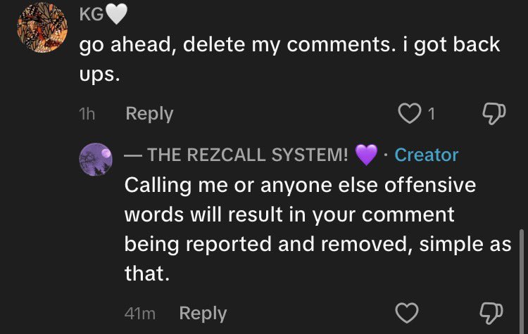 rezcallsys's tweet photo. System tiktok / systok have gotta be some of the most weirdly entitled people ever. The person who makes this comment called me and two of my commenters dumbasses, by the way. So of course their comments were deleted. I don’t tolerate hate on my page. https://t.co/KIrBagLvew