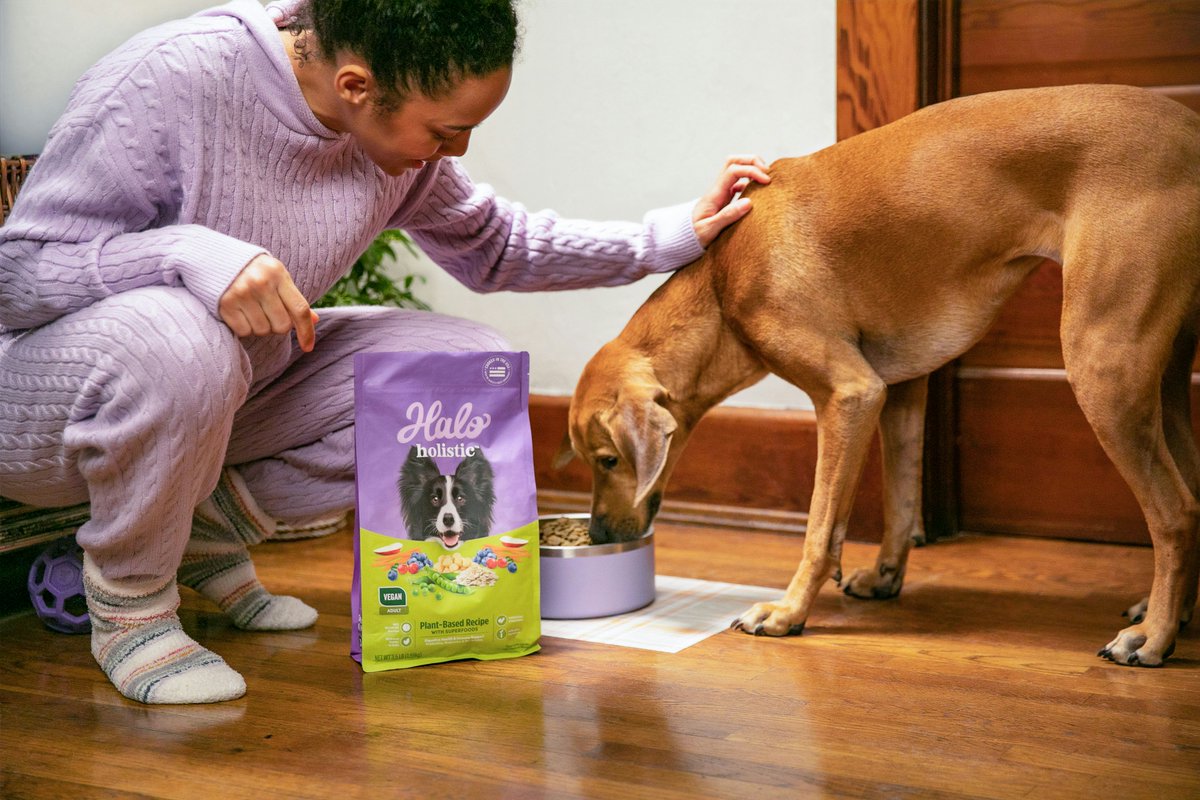 halopets's tweet photo. your dog can’t tell you their food isn’t working, but sometimes their skin, coat + overall comfort can.

for pups who don’t do their best on certain animal proteins, our 100% vegan kibble offers complete &amp; balanced nutrition, without meat in the mix. 🌱 https://t.co/QrdAKoQ0eK
