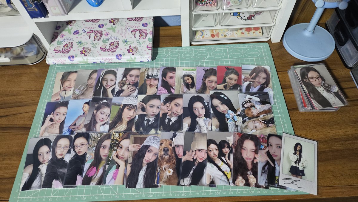 Blues_Potato's tweet photo. Top heranças para se deixar aos seus gatos: 
Suas coleções de Idols de K-Pop. https://t.co/7fFPT4qF2l
