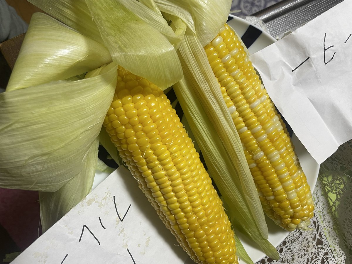 jun798's tweet photo. 会社の友人がお取り寄せしたというとうもろこし🌽
おすそ分けして頂き昨夜食べた。
ピーターコーン&amp;フルーツコーンという品種
素晴らしい甘みと張り、ジューシーさ、一級品です。
昔は茹でたり蒸したりだったけど、今はレンチンで簡単👍
今朝の沖縄パイナップルも根っこ出てきたー

沖縄パイナップル https://t.co/x7BlFySux3
