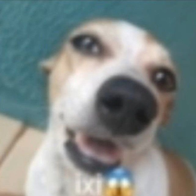 greenievics's tweet photo. @calaabocayas adorei aproveita e passa aqui em casa fazendo um favor https://t.co/FMZd6QH8J4