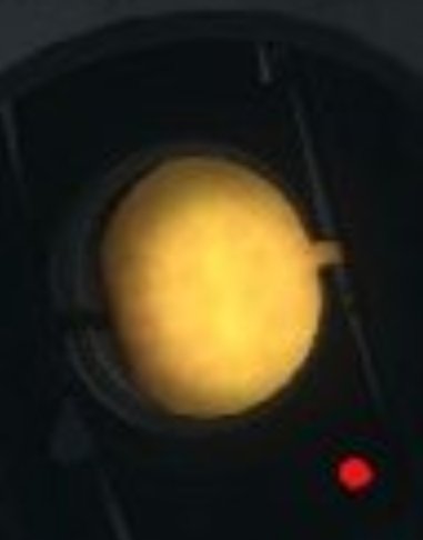 coalbones's tweet photo. valve is so funny they just let her eyelids clip into themselves whenever she squints and nobody cares https://t.co/f838QUgeox