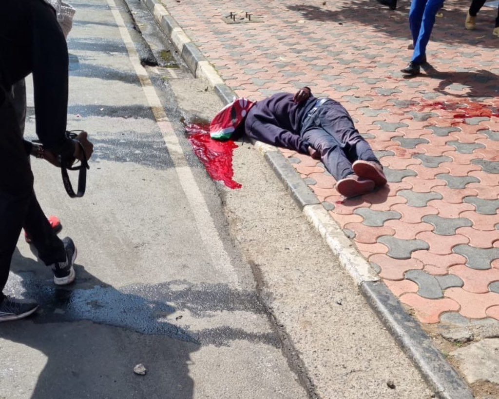 Dilso_123's tweet photo. @zabigfrench1 @Bri4Change2026 @ChrisMurphyCT @karmadawgs ...had campaigned on gãý rights &amp; climate change b.s. He implemented none of them,but instead overtaxed Kenyans leading to riots. Ruto kidnapped hundreds of young protesters &amp; their bodies were found without heads or floating in dams. Now he is saying he will cancel elections. https://t.co/OxAM30R2zm