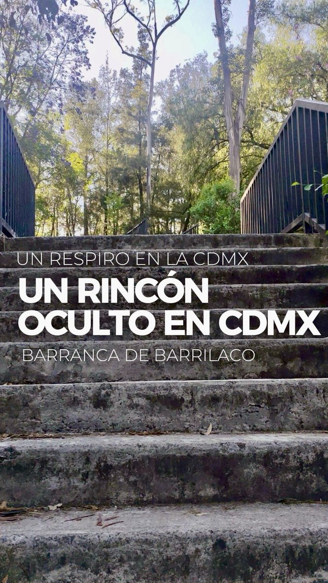 exp_viajero's tweet photo. A veces solo hace falta salirse tantito de la rutina para encontrar lugares que te cambien el ritmo.

Caminar sin prisa entre los árboles y despejar la cabeza en la Barranca de Barrilaco 🌿

#RafaKaxio https://t.co/m9ZpwyLzyz