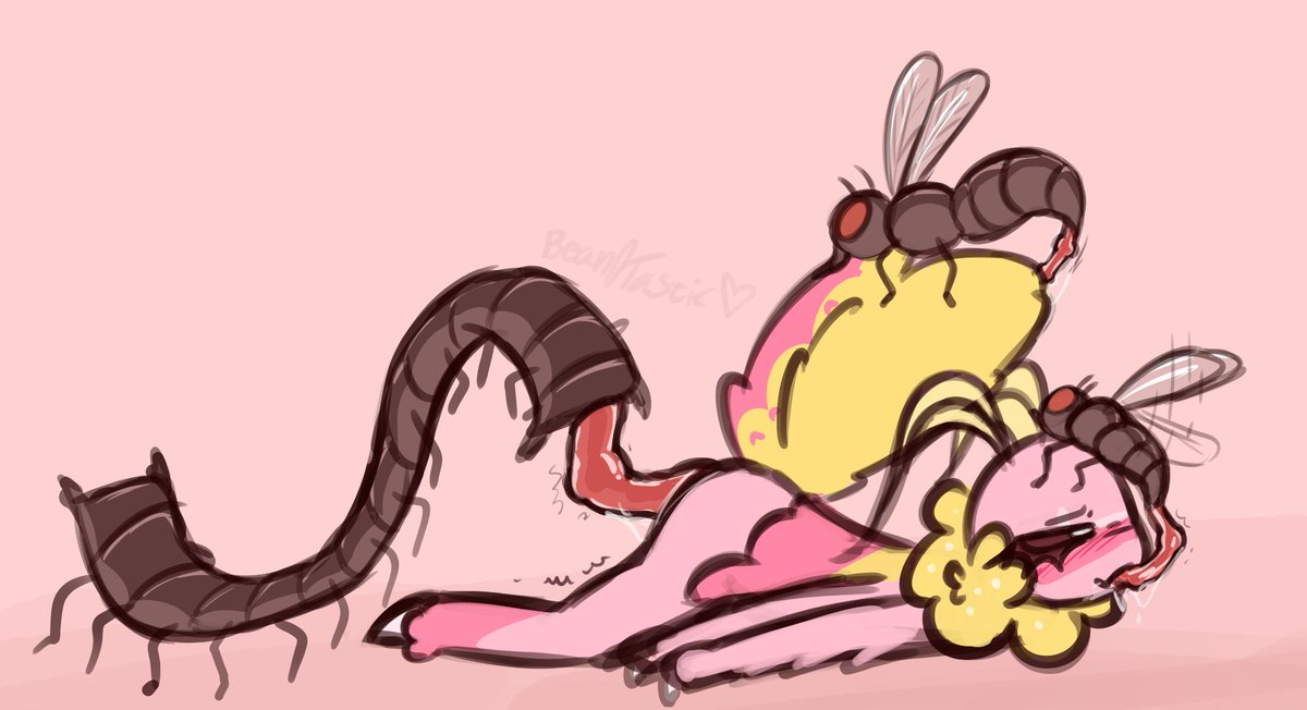 Beaniefantastic's tweet photo. CW: oviposition / bugs
dw Dryoca also got smth.,,,,, https://t.co/I4pwrqSl0h