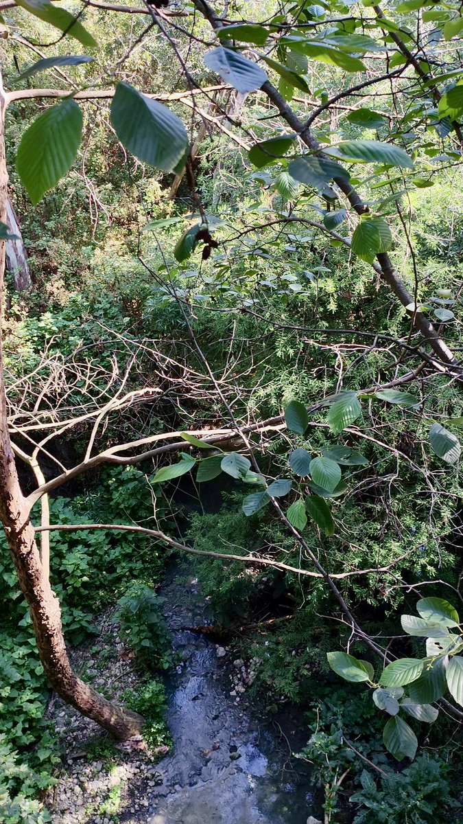 exp_viajero's tweet photo. Menos prisa, más aire y la mejor compañía para el camino 🍃

#RafaKaxio https://t.co/Afl6BTBQSi