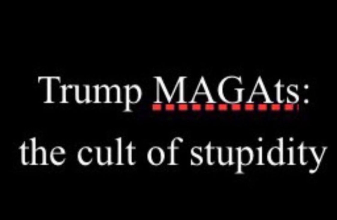 PTrump48245's tweet photo. @Cult45Translate @JJVibe @GuntherEagleman @EnesFreedom https://t.co/AGwdBHVOVm