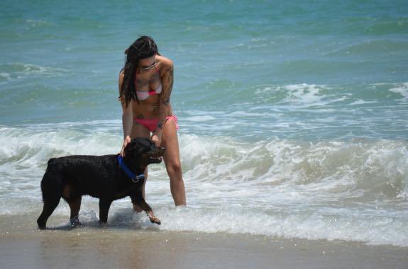 CannibalCupq's tweet photo. Wanna see our vacation activities? 
Join my vip 
👉  https://t.co/MF6HSOHwsb

#zoophillia #zoosarevalid #beastiality #dogknot #zooprideisvalid
#antizoophileantizoo #k9girl #zoopride
#zoophilepride #zoopositivity #usa #crypto https://t.co/uIHG1mUZ0k