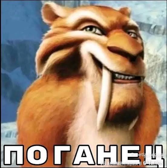 Goldixin's tweet photo. @Drimmur28 Так делай контент, желающих много) но  не один из них , я нетакуся и мне это не надо, так к слову 
Жизнь одна, а нюдсов нет https://t.co/YijzDimbvV