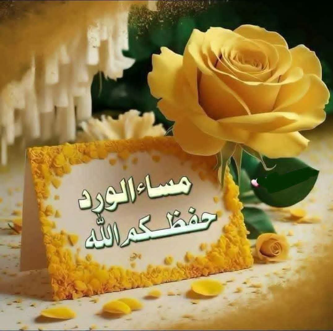 grv51p's tweet photo. @SamaherDeeb https://t.co/culCZRK9Em