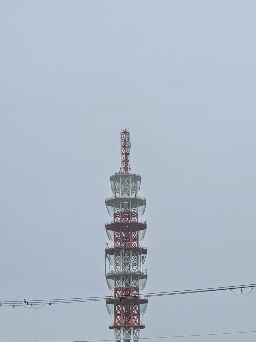 no1kamo's tweet photo. おはようございます。

同じところでぐるぐる回る台風。

早く進路決めて行ってくれ。

これからしばらく雨ばっかりやんか。

困ったもんだ(>_<) https://t.co/Bzul5Aum6y