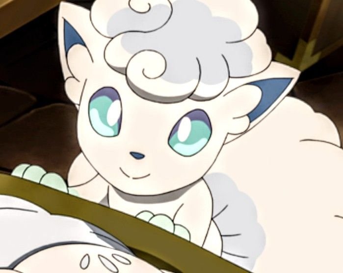 acervovulpix's tweet photo. @witchflogaga ele é 🤏🥺 https://t.co/tmEySdzXMO