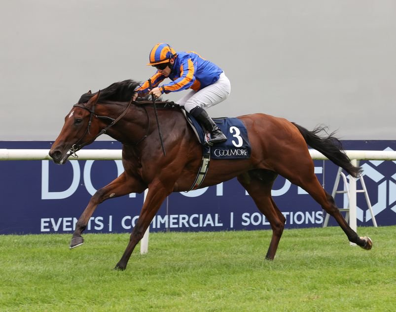 racingblogger's tweet photo. 🚨 THE REMATCH IS ON! 🚨

ITEM 🆚️ CONSTITUTION RIVER in the G1 Irish Champion Stakes is confirmed.

Item 2-1 ⚒️ Constitution River 6-4!!!

Andrew Balding's star son of FRANKEL will have to be A1 to beat Aidan's horse on home turf.

Who wins this fascinating re-match? 🤔 https://t.co/4ONJwP2abk