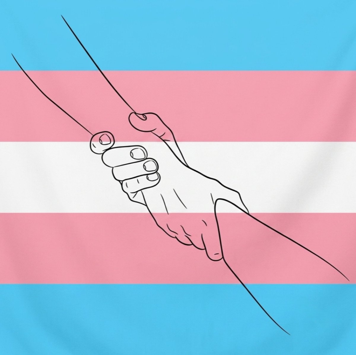 AnarchSoul's tweet photo. I think the trans community can also become a collectivist community, similar to the strong social solidarity that exists among Jews. I know that the trans community is not a religious community and that being trans is a gender identity, but at a time when transphobia is seriously increasing and the oppression of trans individuals is growing every day, I think trans individuals do not have the luxury of individualism.

What do I mean by a collectivist community? I think trans individuals should act as a single community, regardless of their ethnic backgrounds. Trans individuals should support other trans individuals living around them. For example, if a trans individual needs HRT, people who have access to HRT can help them. If a trans individual needs money, other trans individuals can donate whatever amount they can. If a trans individual moves to a safer country and needs a place to live, trans individuals in that country can help them find a trans-friendly home or even share a home with them.

I think this kind of collectivist system could be very beneficial for the trans community. Although Jewish communities have faced discrimination and persecution for centuries, they have helped people in difficult situations get back on their feet by maintaining strong mutual support systems. These people have eventually been able to help other community members in need as well.

I think the trans community can do something similar if we put aside meaningless internal debates and learn to truly stand together.