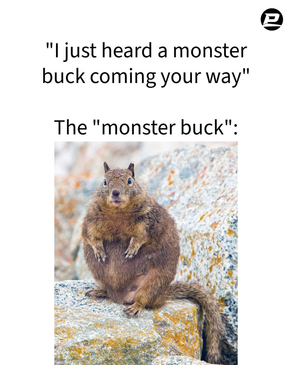 PyramydAIR's tweet photo. Every single time. You’re sitting perfectly still, heart pounding, listening for that one sign... and it's just this guy. 😂 If you've been there, you know the frustration! What’s the funniest creature that’s ever ruined your moment of peace in the field? Tell us your story! 👇 https://t.co/U7ZokBXUoz