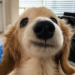 OrmandDevs's tweet photo. WHY IS THIS NOT AT MILLIONS ALREADY.

The female version of BILLY is here $Bella 

2.1 MILLION VIEWS AND JUST POSTED.

https://t.co/uEq5qaFrov https://t.co/pD97mcoUwW