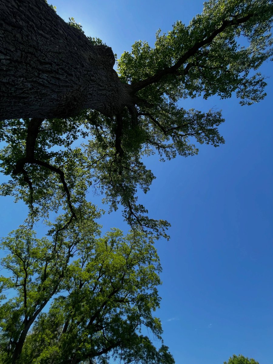 32643264's tweet photo. Perspective shapes everything. https://t.co/I79f5pN552