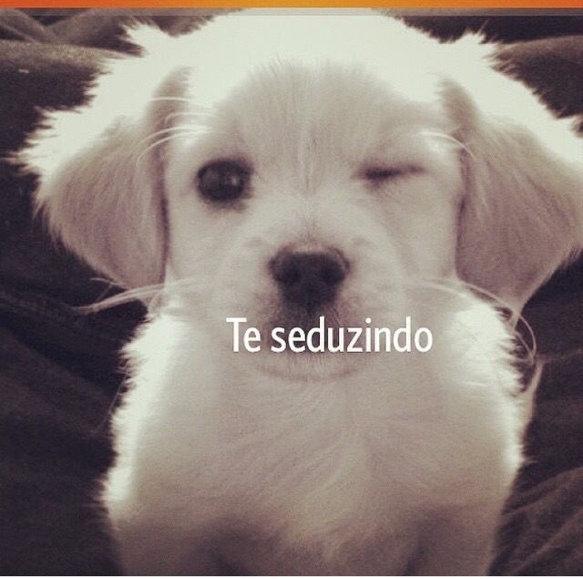 elisa_guimaa's tweet photo. era so uma ficada e eu ficava bem https://t.co/NJkvJM3U3y