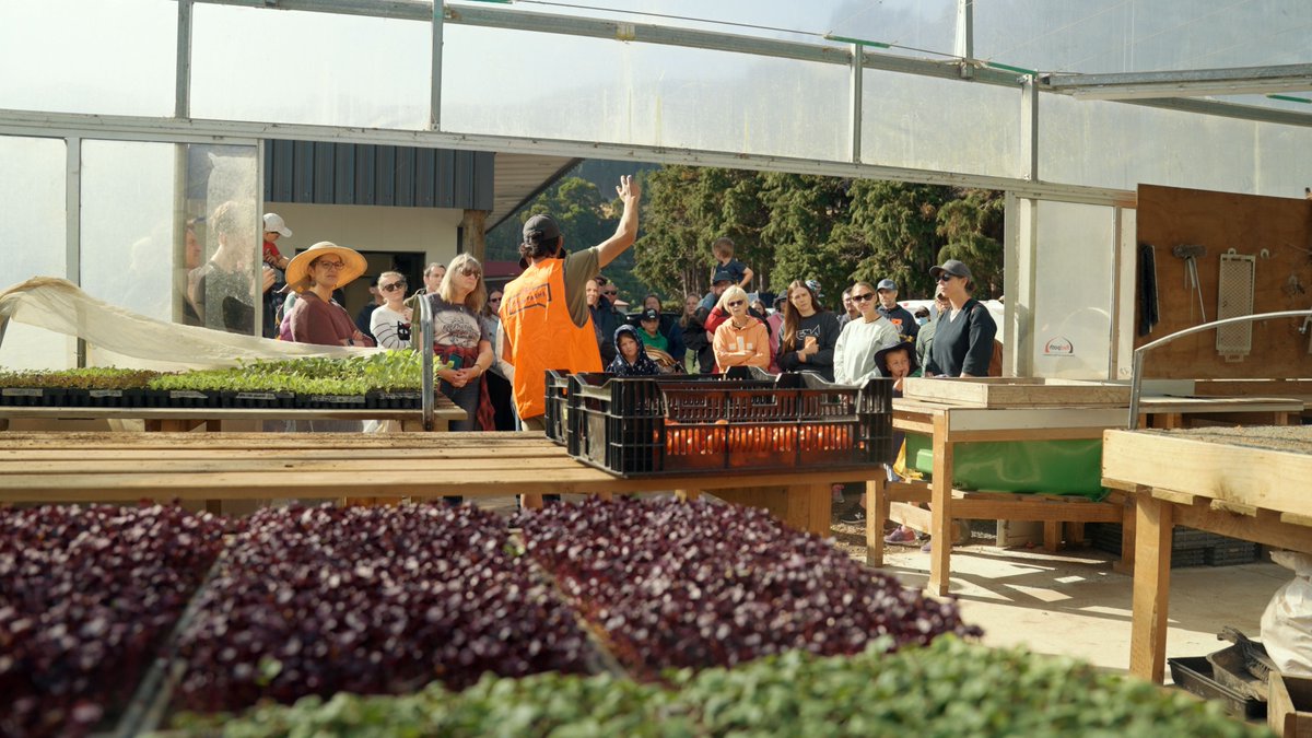 MangaroaFarms's tweet photo. Kōanga / Spring has arrived, and so has our biggest day of the year. Sat 31 Oct, 10am-3pm. Live music, local kai, organic coffee, permaculture &amp; garden tours, workshops, vendors, our walking trail, and plenty for the whole family to enjoy. 

Sign up: https://t.co/nAR5vJSUN7 https://t.co/f1q6d86uVj