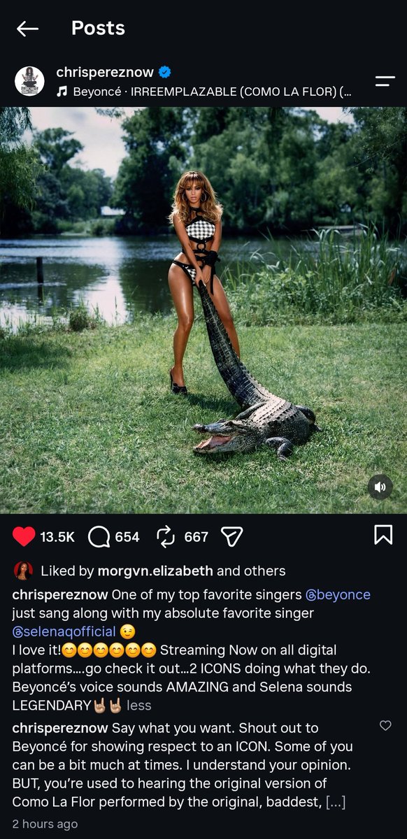 LunarSkye's tweet photo. Selena Quintanilla-Perez's husband, Chris Perez, posted support for the Irreplaceable x Como La Flor mashup on the B'Day 20th anniversary album. He also clapbacked at Beyoncé haters in his comments. I'm shocked by some of the stuff I'm reading. I didn't know her fans were nasty. https://t.co/FjIgpdbLE5