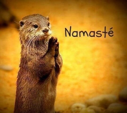 avoceanbibi's tweet photo. @jjungluv_ https://t.co/yhmJC1SAzO