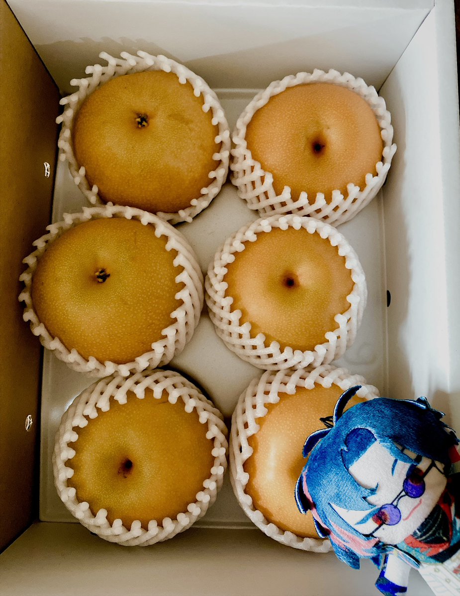 1nar1zs's tweet photo. わ〜い実家から🍐が届いた！ https://t.co/fGuSPdRgJK